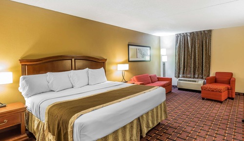 Suite, 1 cama de matrimonio grande, frigorífico y microondas