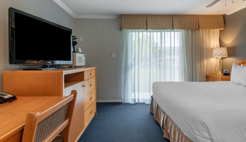 Habitación estándar, 1 cama de matrimonio grande, no fumadores, frigorífico y microondas