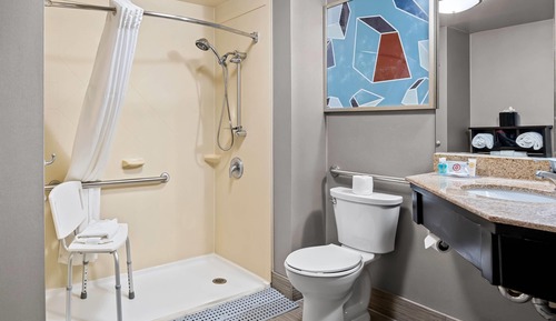 Habitación, 1 cama de matrimonio, accesible para personas con discapacidad (Roll-in Shower)