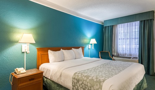 Habitación estándar, 1 cama de matrimonio grande, no fumadores