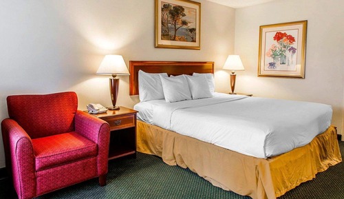 Habitación estándar, 1 cama de matrimonio grande, no fumadores
