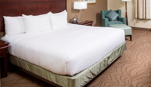 Suite estudio, 1 cama de matrimonio grande