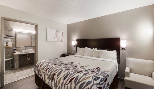 Habitación Deluxe, 1 cama de matrimonio grande, no fumadores