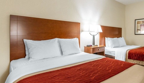 Habitación estándar, 2 camas de matrimonio, no fumadores