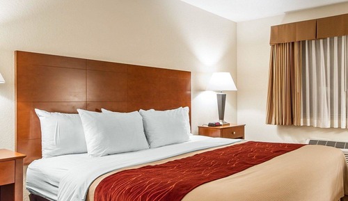 Habitación estándar, 1 cama de matrimonio grande, no fumadores