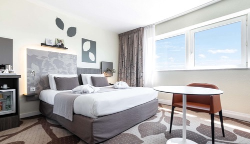 Habitación estándar, 1 cama doble