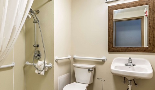 Habitación, 1 cama de matrimonio grande, accesible para personas con discapacidad (Roll-In Shower)