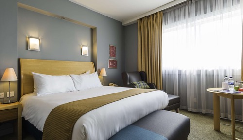 Habitación ejecutiva, 1 cama doble, no fumadores