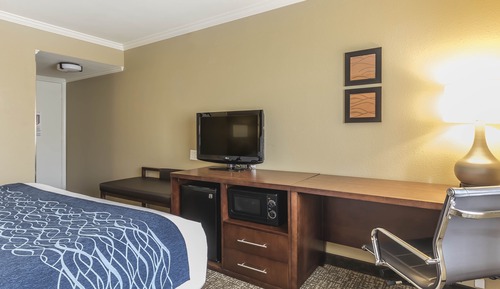 Habitación estándar, 1 cama de matrimonio grande, no fumadores