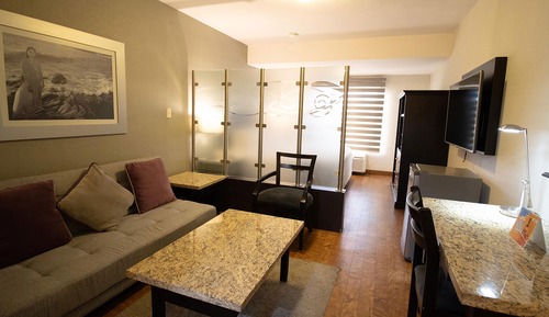 Habitación individual ejecutiva, 1 cama de matrimonio grande