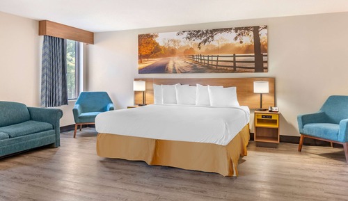 Habitación estándar, 1 cama de matrimonio grande, no fumadores