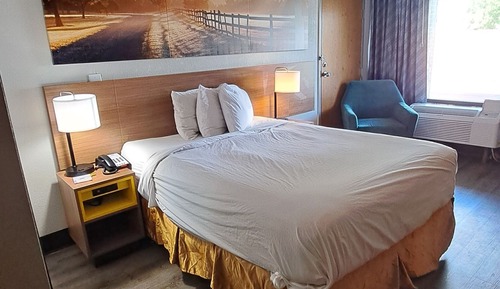 Habitación estándar, 1 cama de matrimonio, no fumadores