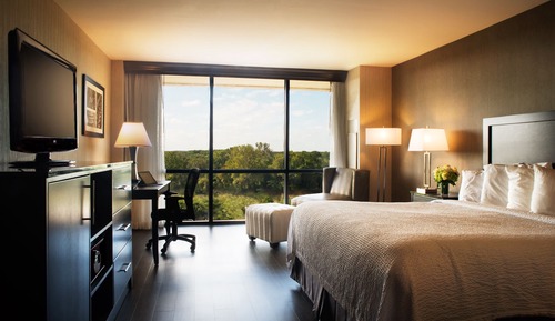 Habitación estándar, 1 cama de matrimonio grande