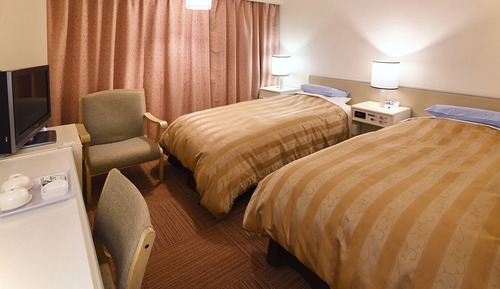 Habitación estándar con 2 camas individuales, fumadores