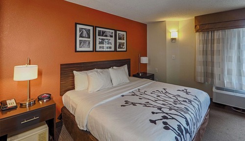 Habitación estándar, 1 cama de matrimonio grande, no fumadores