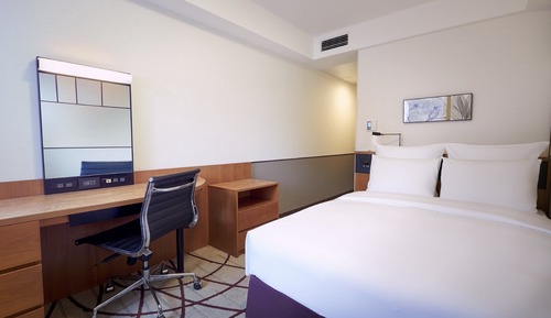 Habitación estándar, 1 cama doble
