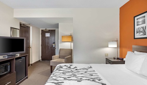 Habitación estándar, 1 cama de matrimonio grande, no fumadores