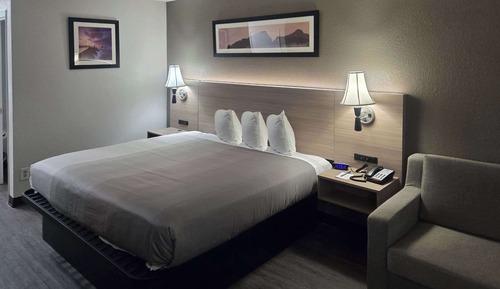 Habitación estándar, 1 cama de matrimonio grande, no fumadores