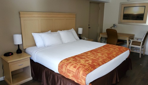 Exterior 1 Queen Bed Accessible