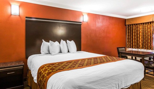 Habitación estándar, 1 cama de matrimonio grande, no fumadores