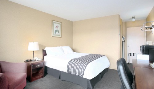Habitación estándar, 1 cama de matrimonio