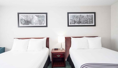 Habitación estándar, 2 camas dobles