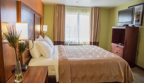 Suite, 1 cama de matrimonio grande, accesible para personas con discapacidad (Efficiency)