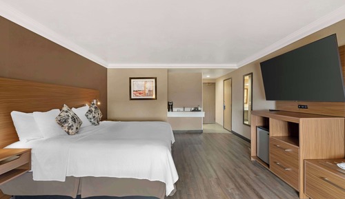Habitación estándar, 1 cama de matrimonio grande, no fumadores, bañera