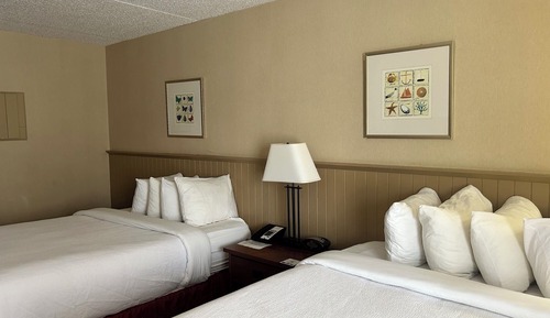 Habitación estándar, 2 camas de matrimonio