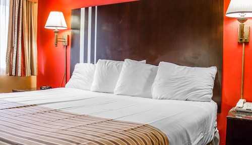Habitación estándar, 1 cama de matrimonio grande, fumadores