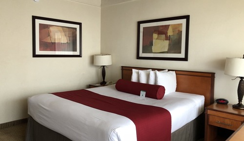 Habitación estándar, 1 cama de matrimonio grande
