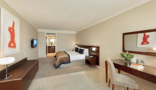 Suite, 1 habitación, Acceso al salón del club (Balcony, Acropolis View)