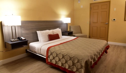 Habitación, 1 cama de matrimonio grande, accesible para personas con discapacidad (Mobility/Hearing)