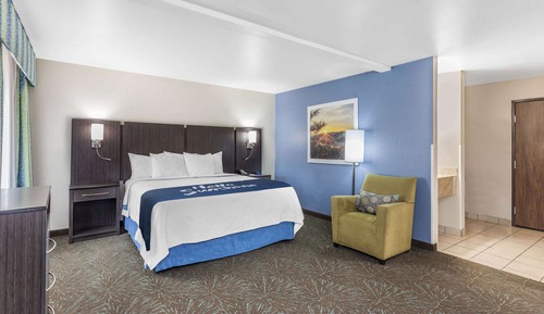 Suite estudio, 1 cama de matrimonio grande (No Pets Allowed)