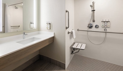 Habitación estándar, 1 cama de matrimonio grande (Roll-In Shower)