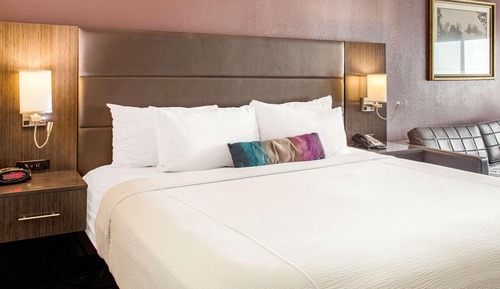 Habitación estándar, 1 cama de matrimonio grande con sofá cama, no fumadores