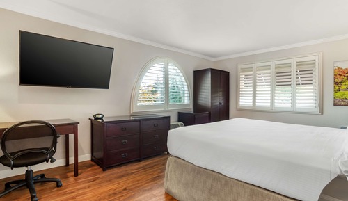Habitación estándar, 1 cama de matrimonio grande, no fumadores, frigorífico