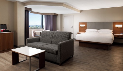Suite presidencial, 1 cama de matrimonio grande