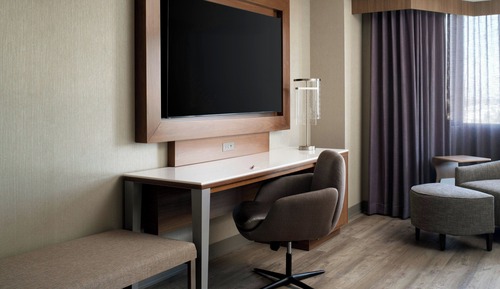 1 King Bed, Sofa Bed, Junior Suite