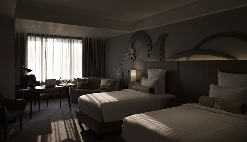 Habitación Deluxe, 2 camas individuales (Grand)