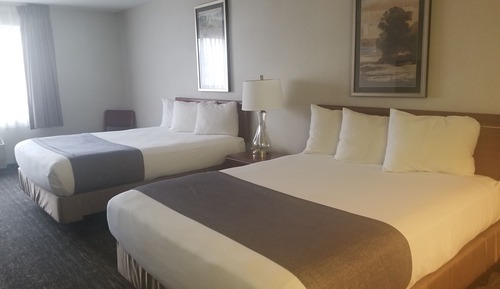Suite, 2 camas de matrimonio
