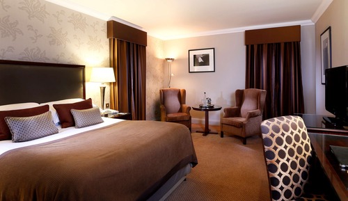 Habitación estándar, 1 cama de matrimonio grande (Standard King)