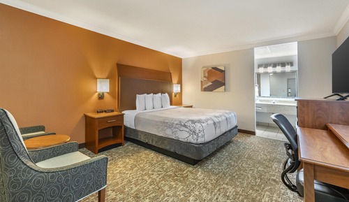 Habitación estándar, 1 cama de matrimonio grande, no fumadores, frigorífico y microondas