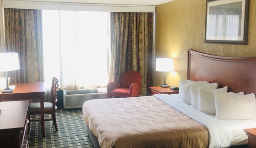 Habitación estándar, 1 cama de matrimonio grande