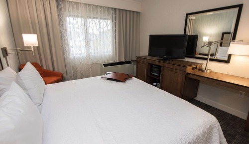 Habitación, 1 cama de matrimonio grande, accesible para personas con discapacidad (Hearing)