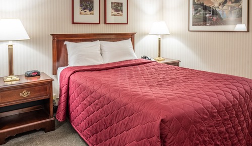 Habitación estándar, 1 cama doble