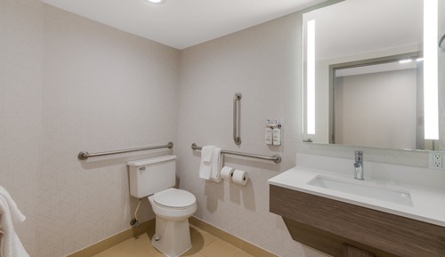 Habitación, 1 cama de matrimonio grande, accesible para personas con discapacidad (Roll-In Shower)