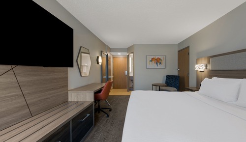 Habitación estándar, 1 cama de matrimonio grande, accesible para personas con discapacidad (Hearing)