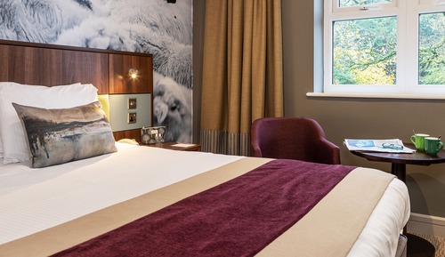 Habitación estándar, 1 cama de matrimonio grande, no fumadores
