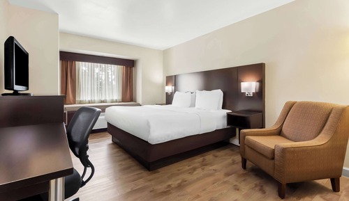 Habitación estándar, 1 cama de matrimonio grande, no fumadores